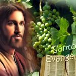 Chúa nhật V Phục sinh, năm B: Các bài suy niệm & chú giải Lời Chúa