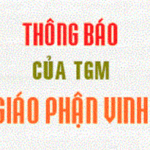 TGM Giáo phận Vinh: Thông báo về một số lưu ý khi tham dự Thánh lễ nhậm chức của Đức cha Anphong, Giám mục Giáo phận Vinh