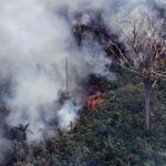 Liên Hội đồng Giám mục Châu Mỹ Latinh lên tiếng về vụ cháy rừng Amazon