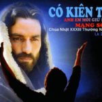 Chúa nhật XXXIII thường niên, năm C: Các bài suy niệm & chú giải Lời Chúa