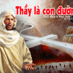 Chúa nhật V Phục sinh, năm A: Các bài suy niệm & chú giải Lời Chúa