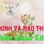 Lễ Mình và Máu Thánh Chúa Kitô, năm A: Các bài suy niệm & chú giải Lời Chúa