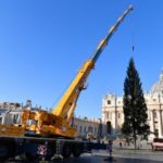 Cây thông Giáng sinh được dựng lên tại Quảng trường thánh Phêrô