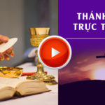 GPVO – Thánh lễ trực tuyến ngày 22-6-2021: Thứ Ba tuần XII thường niên, lúc 19g30