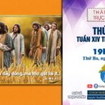 GPVO – Thánh lễ trực tuyến ngày 6-7-2021: Thứ Ba tuần XIV thường niên, lúc 19g30