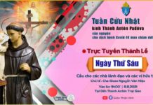 Ngày thứ sáu Tuần cửu nhật kính thánh Antôn 8/8/2021: Thánh lễ và Kinh nguyện trực tuyến