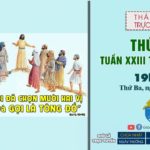 GPVO – Thánh lễ trực tuyến ngày 07-09-2021: Thứ Ba tuần XXIII thường niên, lúc 19g30