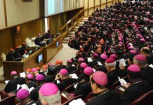 Hiểu biết về Thượng Hội Đồng Giám Mục