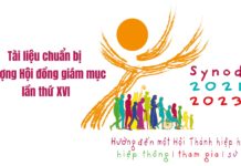 Tài liệu chuẩn bị Thượng Hội đồng Giám mục lần thứ XVI