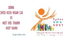 Sống chiều kích hoán cải vì một Hội Thánh hiệp hành