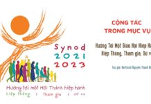 Cộng tác trong mục vụ để hướng tới một Hội Thánh hiệp hành