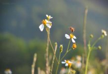 Suy niệm theo Bảy mối tội đầu