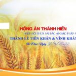 Trực tuyến: Thánh lễ khấn dòng của Hiệp hội Thừa Sai Bác Ái Vinh