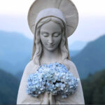 Mừng sinh nhật Đức Maria