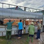 Những chiếc áo quan “0 đồng