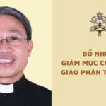 Bổ nhiệm Giám mục giáo phận Thái Bình