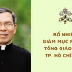 Bổ nhiệm Giám mục phụ tá Tổng Giáo phận Tp. Hồ Chí Minh