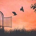 Vì tư tưởng Ta không phải là tư tưởng các ngươi