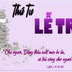 Tìm gì trong nắm tro tàn