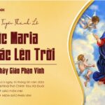 Trực tiếp: Thánh lễ Đức Mẹ Linh Hồn Và Xác Lên Trời, quan thầy Giáo phận