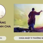Bài giảng Đức Thánh Cha – Chúa nhật 11 thường niên năm B
