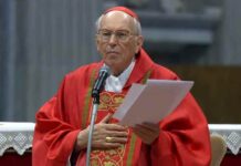 Bài giảng trong thánh lễ cầu cho mật nghị bầu giáo hoàng ngày 7 tháng 5