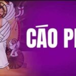 Cáo phó: Ông cố Giuse Nguyễn Văn Hảo (Thân phụ của Lm. Giuse Nguyễn Ngọc Liêm)