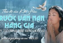 Thái độ của người Kitô hữu trước vấn nạn hàng giả hiện nay