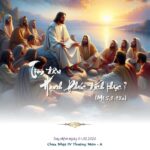 Tìm đâu Hạnh Phúc đích thực?