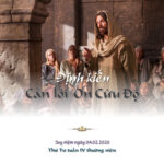 Định kiến cản lối Ơn Cứu Độ